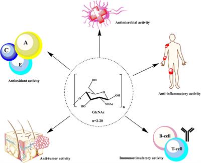 Chemoenzymatic Production and Engineering of Chitooligosaccharides and N-acetyl Glucosamine for Refining Biological Activities